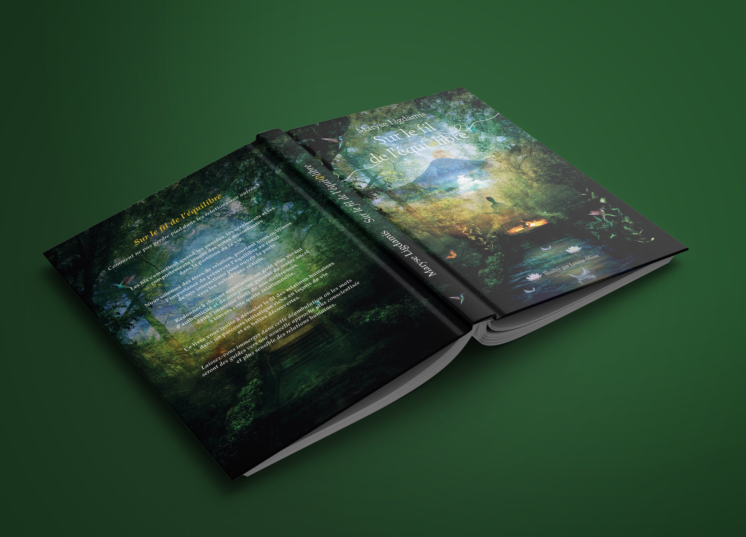 Sur le fil de l'équilibre - Livre