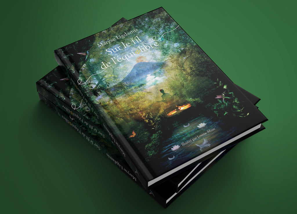 Sur le fil de l'équilibre - Livre